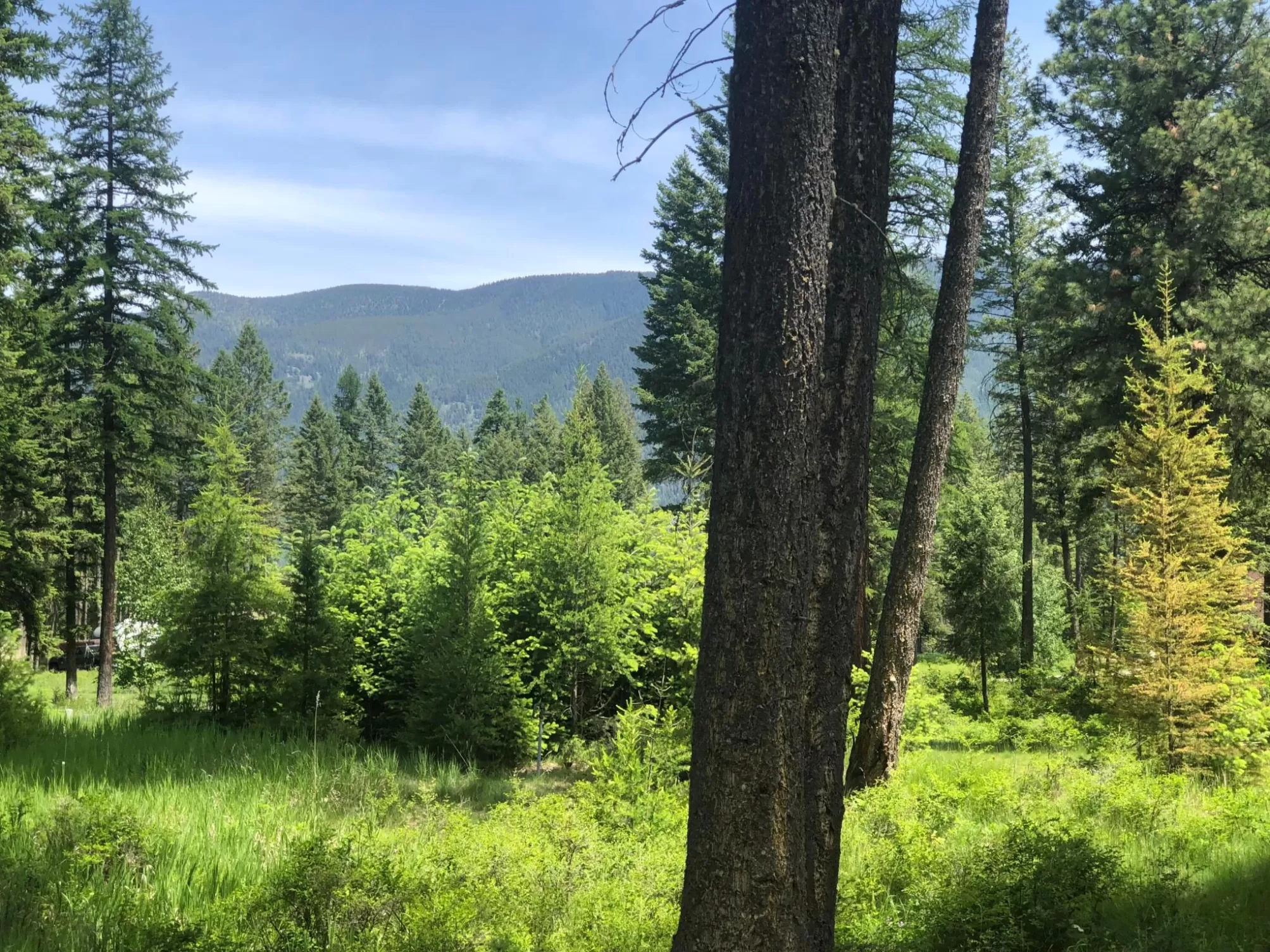 56 Wood Ridge Drive Columbia Falls Waterfront