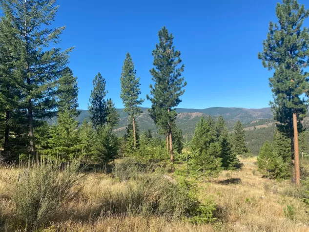 Lot 40 Bighorn Bluff Loop Plains Waterfront