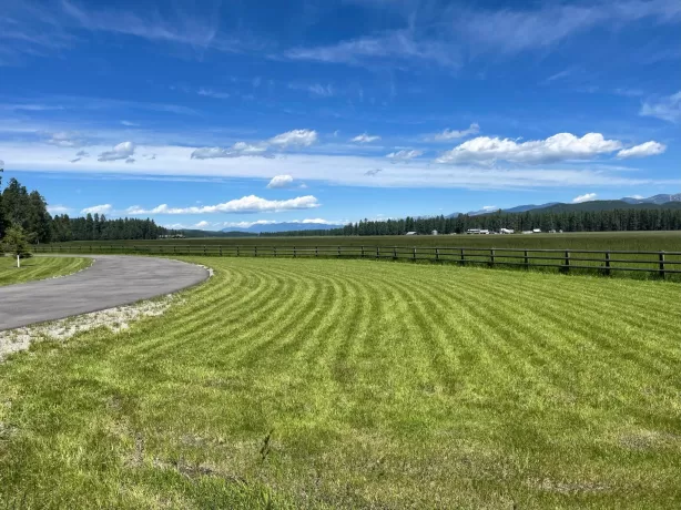 237 Kuhns Meadow Lane Whitefish Horse 40 Acres