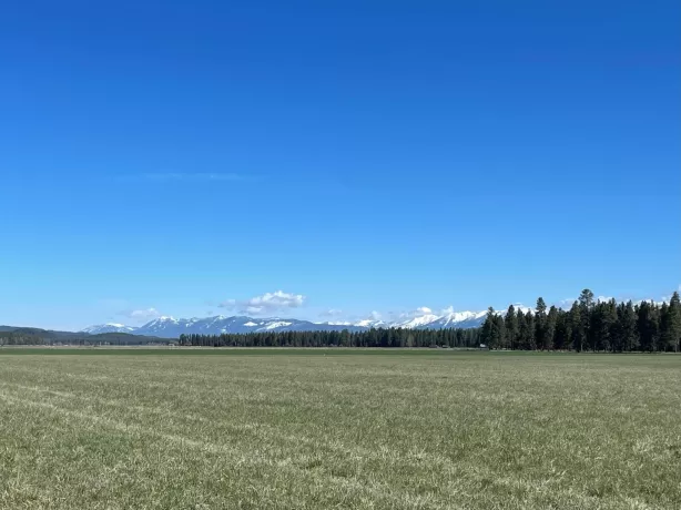 237 Kuhns Meadow Lane Whitefish Horse 40 Acres