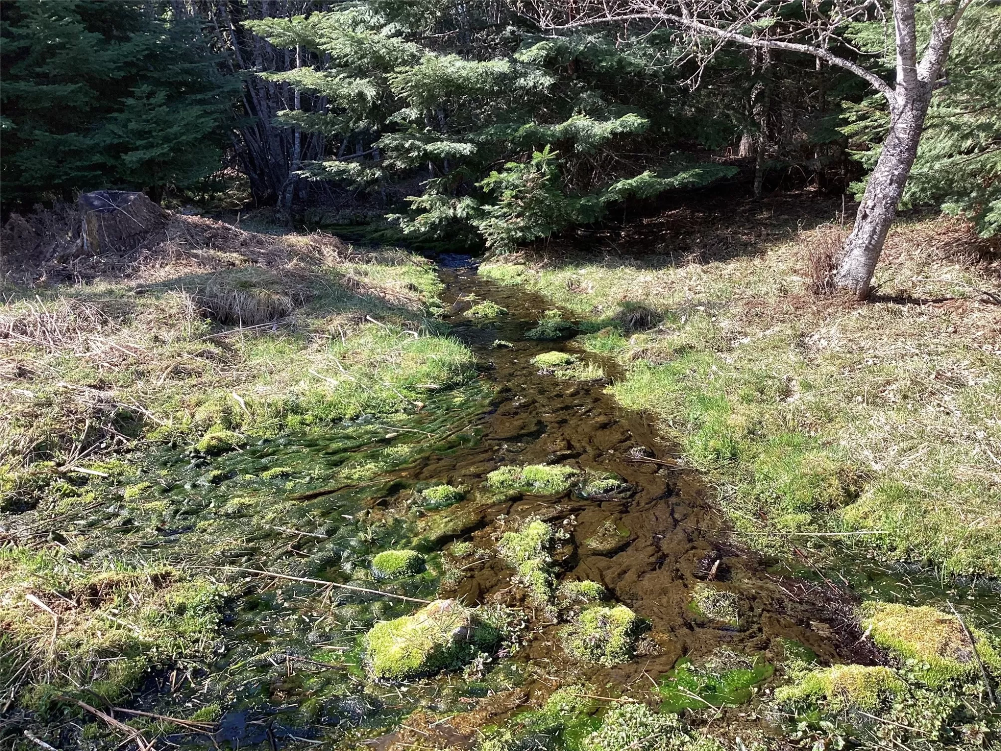 No Address Green Mountain Road Trout Creek Unimpro