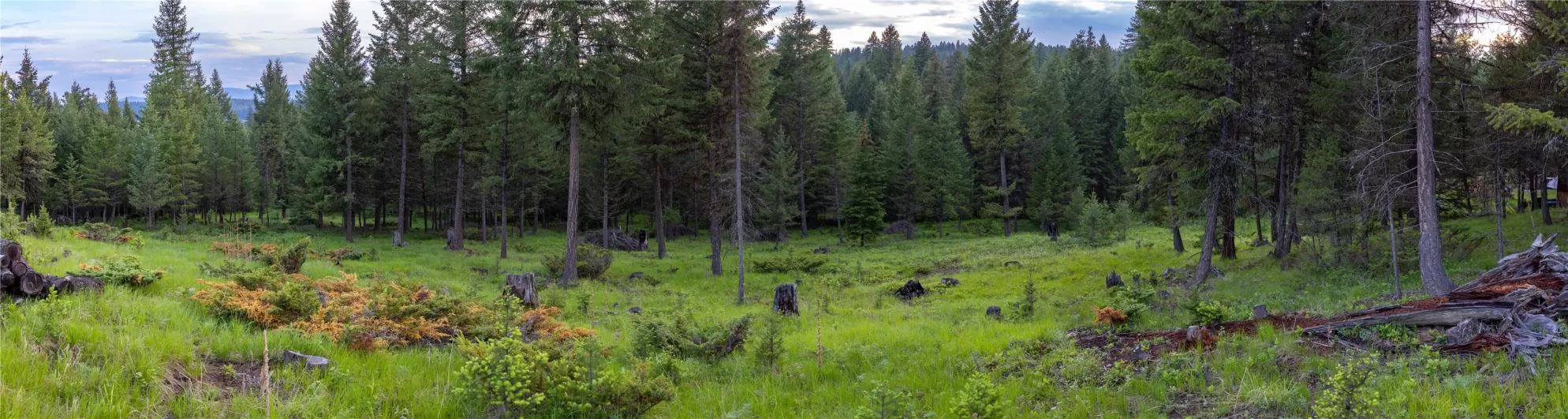 4736 Sinclair Creek Drive Eureka Waterfront