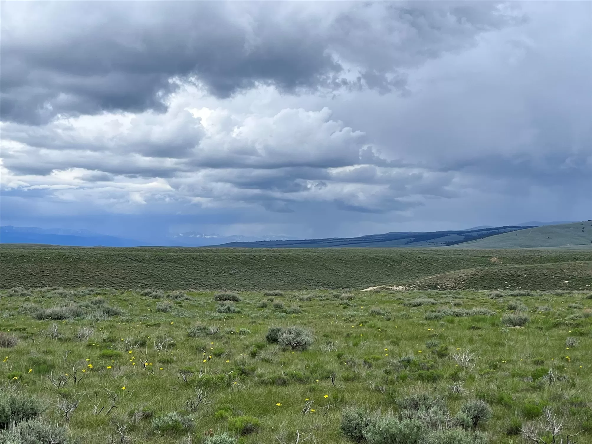 Tract 22 Steel Creek Road Wisdom Horse Ski Waterfr