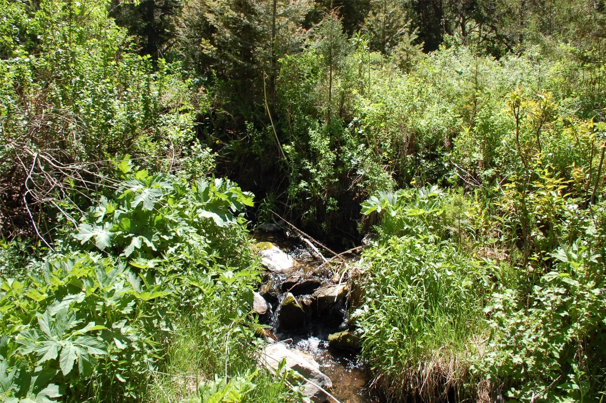 Multiple Blocks Virginia City Unimprovedland Water