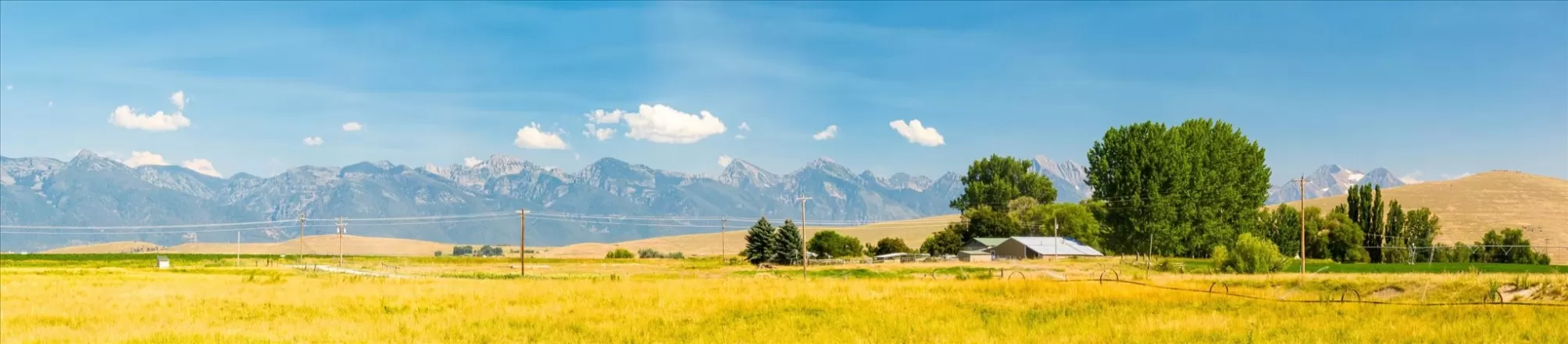 Nhn Tr B Buffalo Bridge Road Polson Waterfront