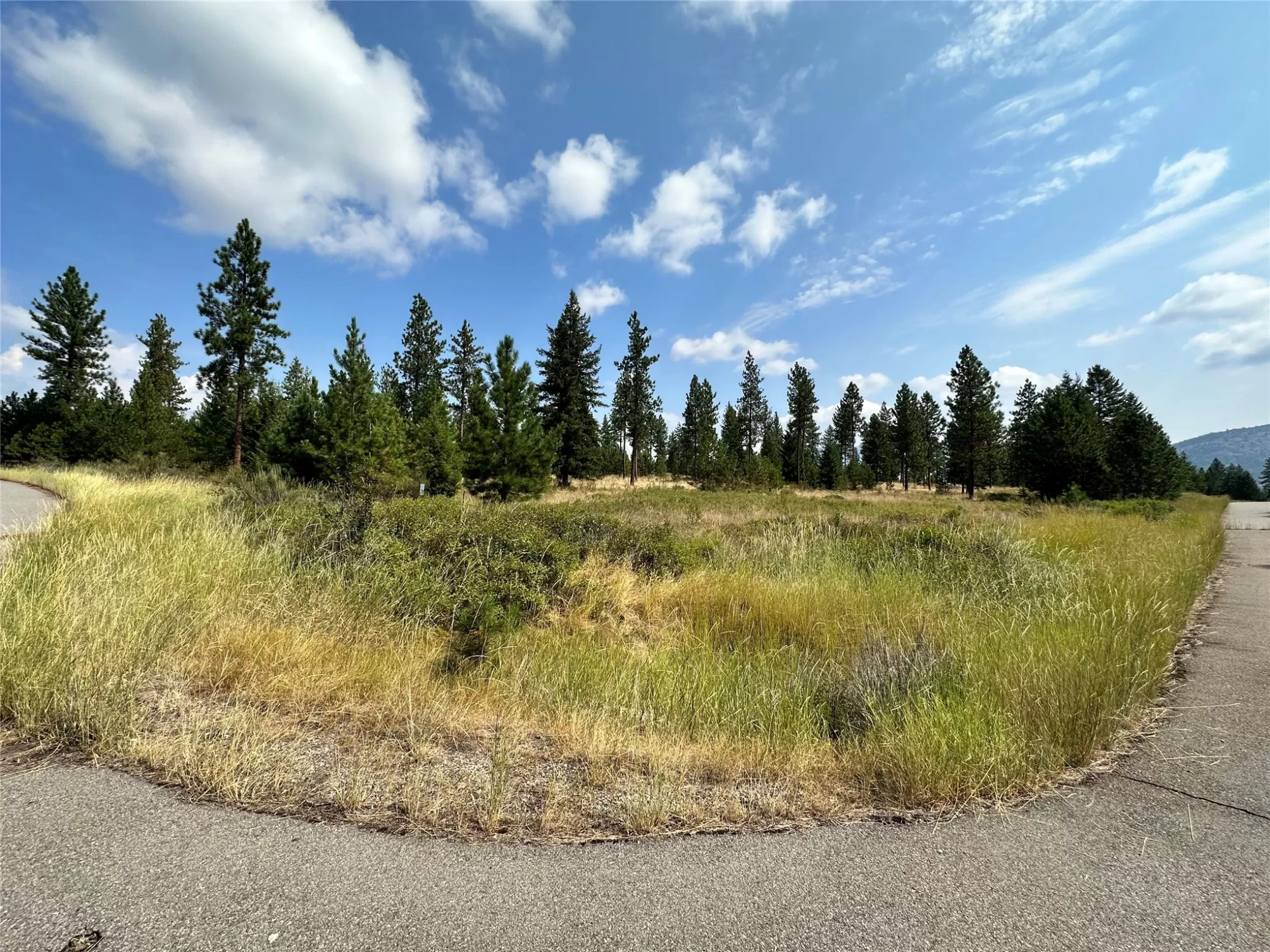 39 Bighorn Bluff Loop Plains Waterfront