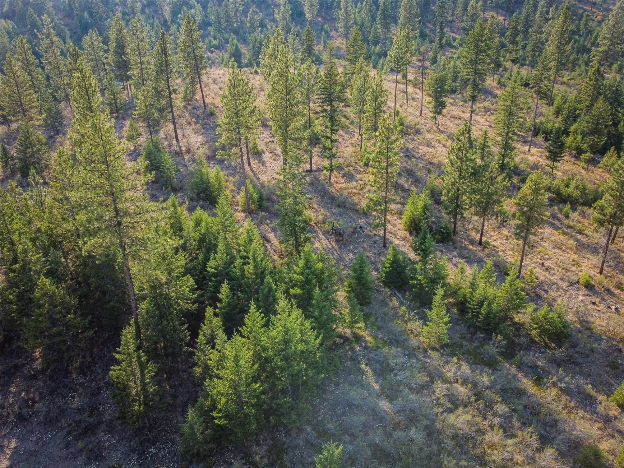 Nhn High Country Road Plains Unimprovedland Waterf