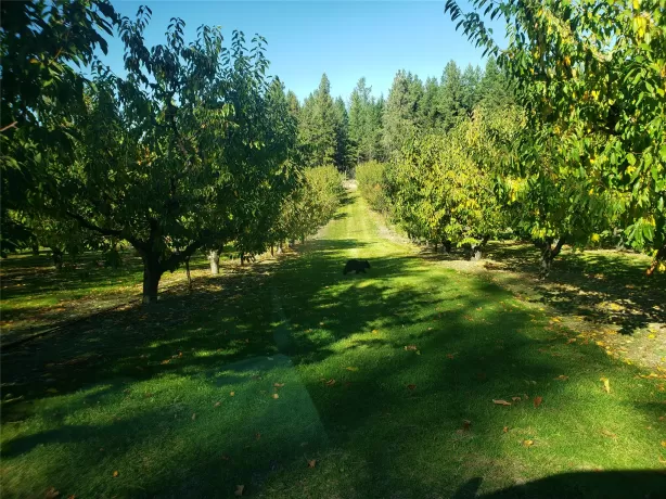 32624 S Finley Point Road Polson Agriculture Water