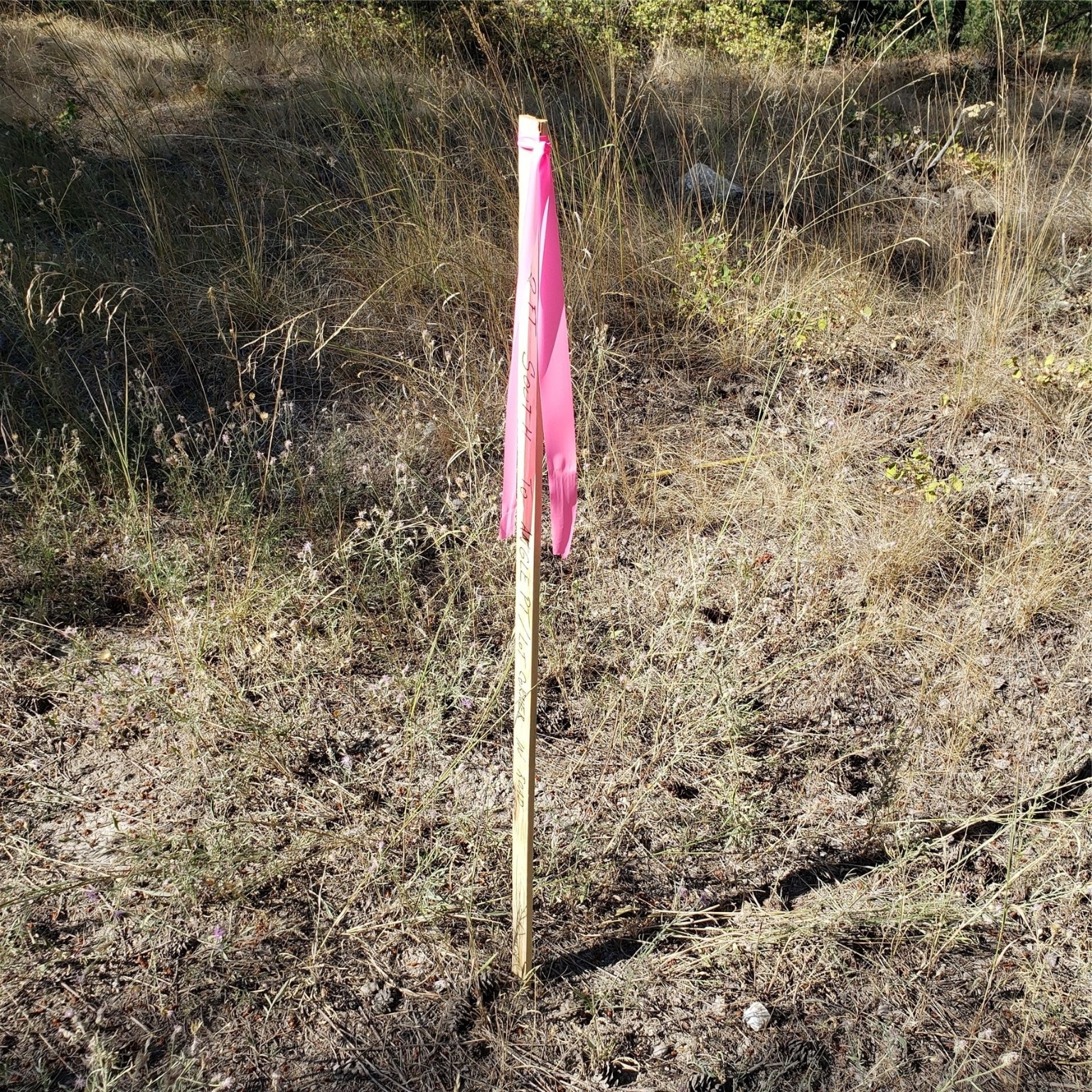 167 Dixie Lane Kalispell Unimprovedland Ski Waterf