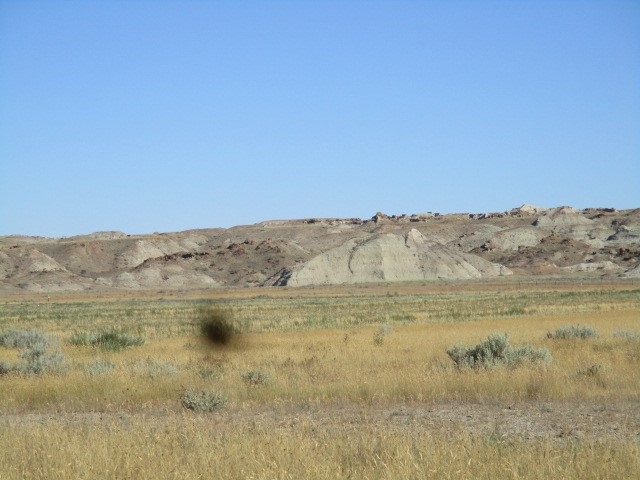 2000 River Road Havre Unimprovedland Horse Waterfr