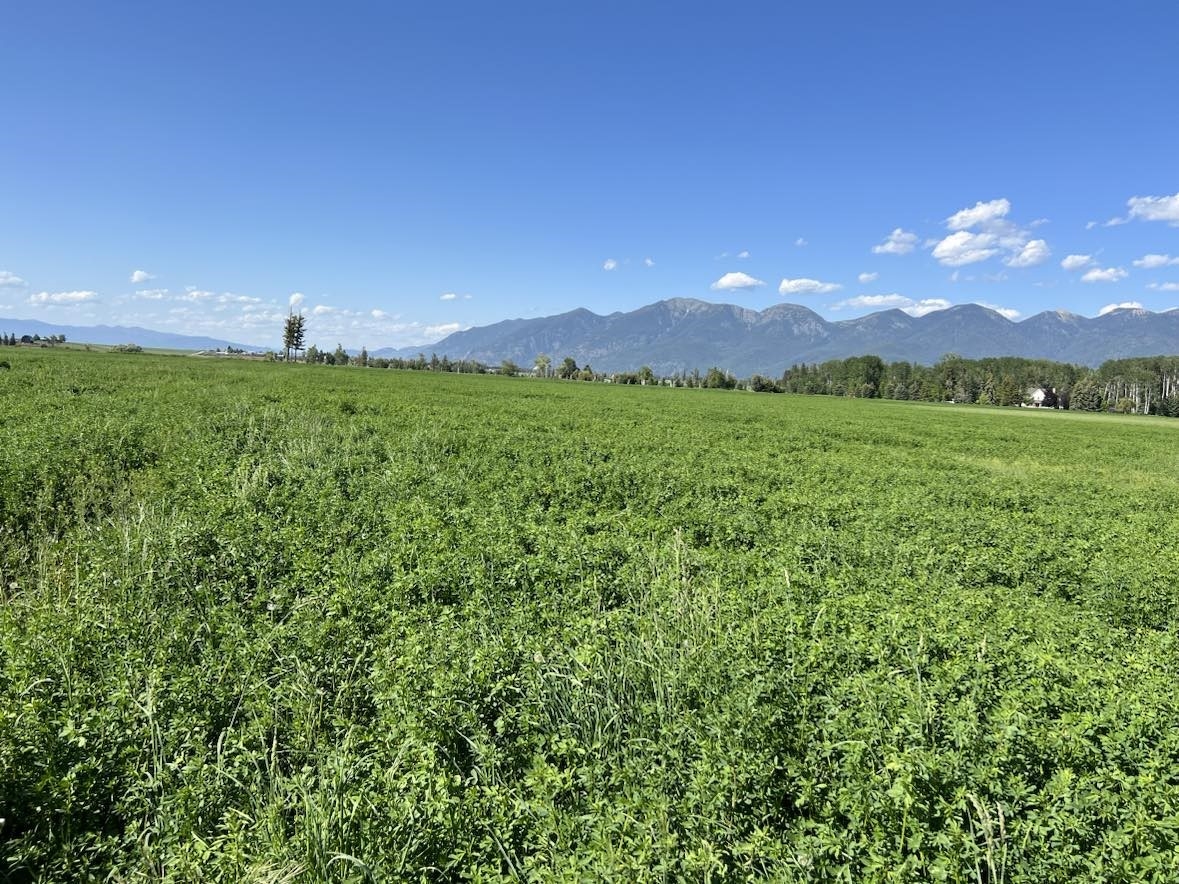 555 Sonstelie Road Kalispell Horse Waterfront 39 A