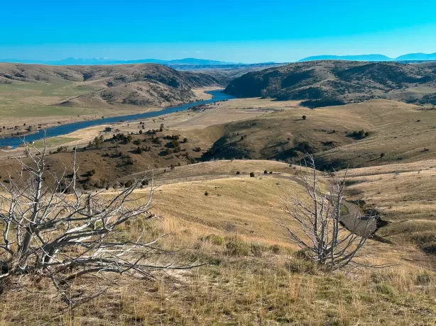 Nhn S Beartrap Canyon Road Norris Unimprovedland S