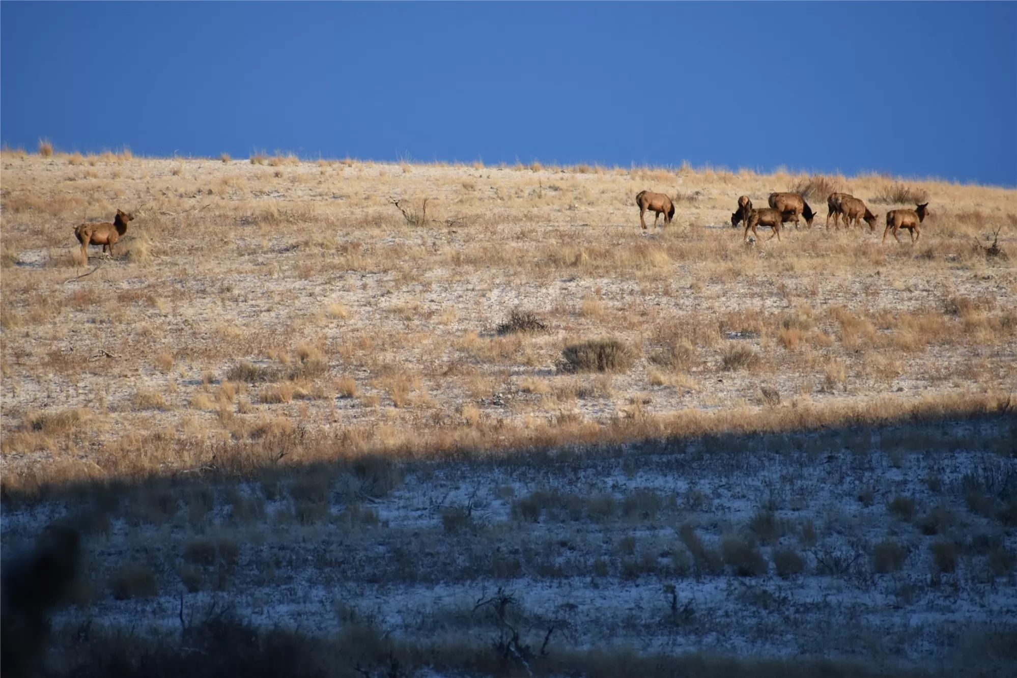 Lot 4 Miller Creek Road Missoula Unimprovedland Wa