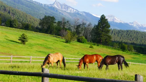 41698 Canal Road Ronan Singlefamilyresidence 5 Bed