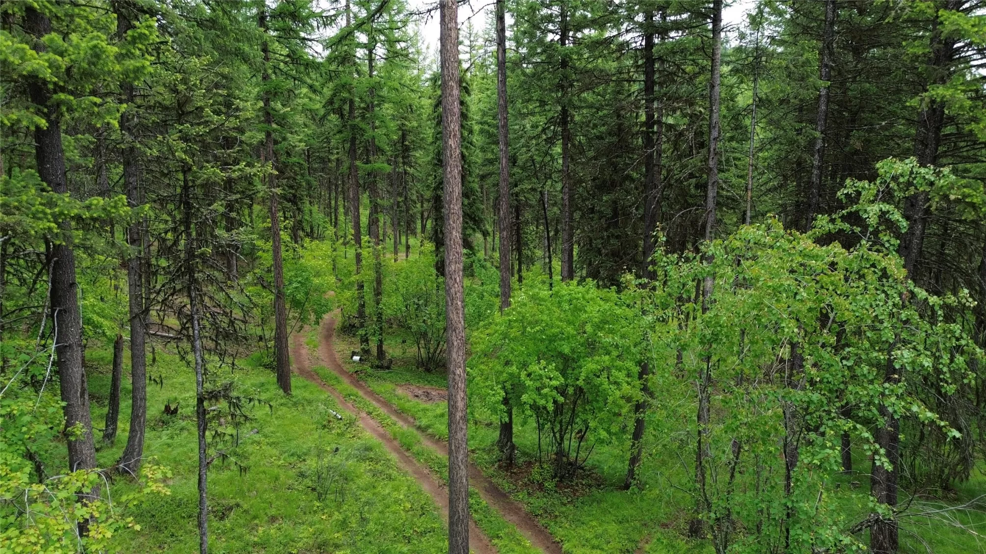 318 Lone Star Trail Kalispell Unimprovedland Water