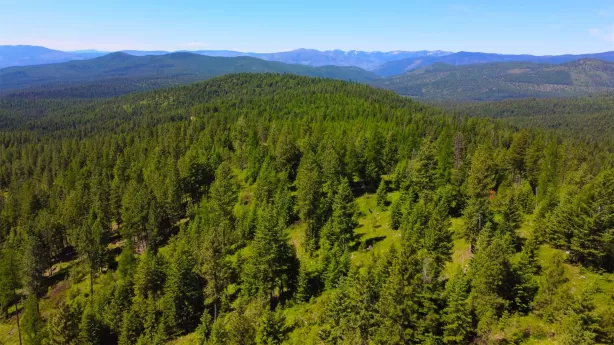 Nhn Corona Rd Ranch Plains Unimprovedland Waterfro