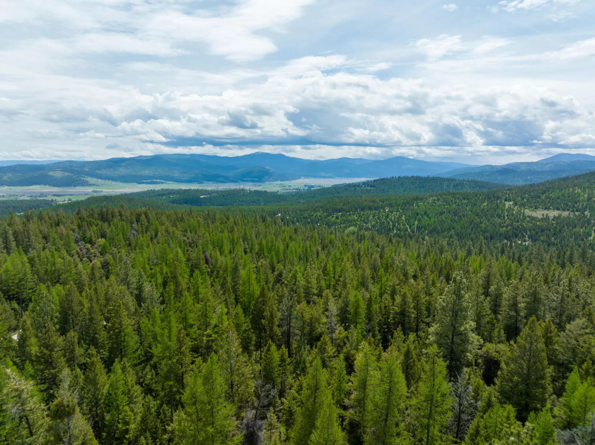 Nhn Copper Road Kalispell Waterfront 35 Acres