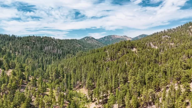 Nhn Upper Andy Creek Lane Cascade Agriculture Wate