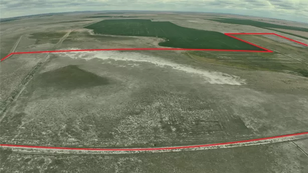 Nhn 7th Road Ne Power Agriculture Horse Waterfront