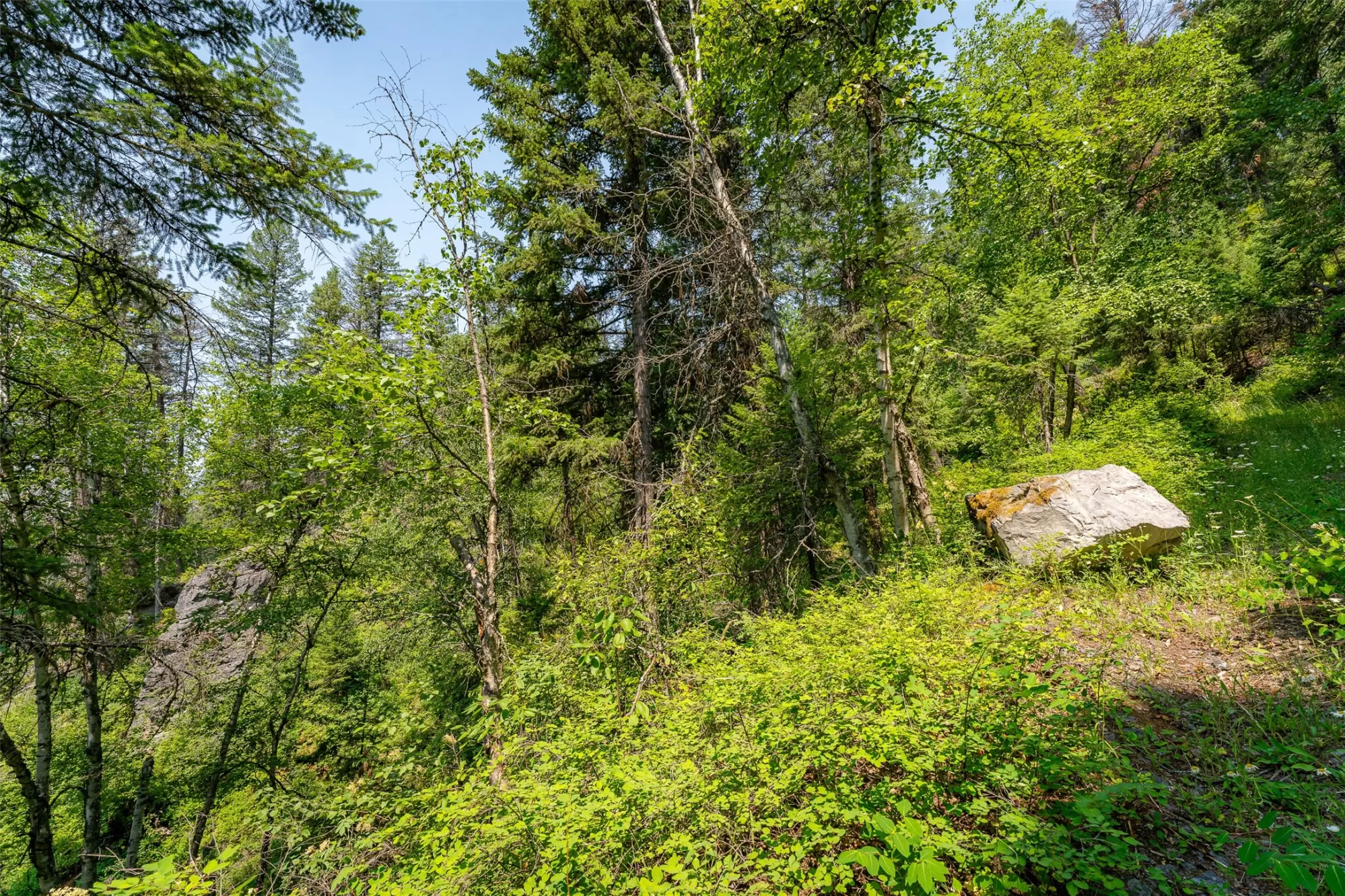 Nhn E Lakeshore Drive Whitefish Unimprovedland Ski