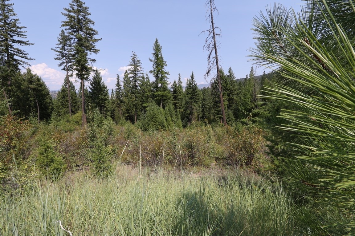 Nhn Tract 1c E Fork Combest Creek Road Plains Hors