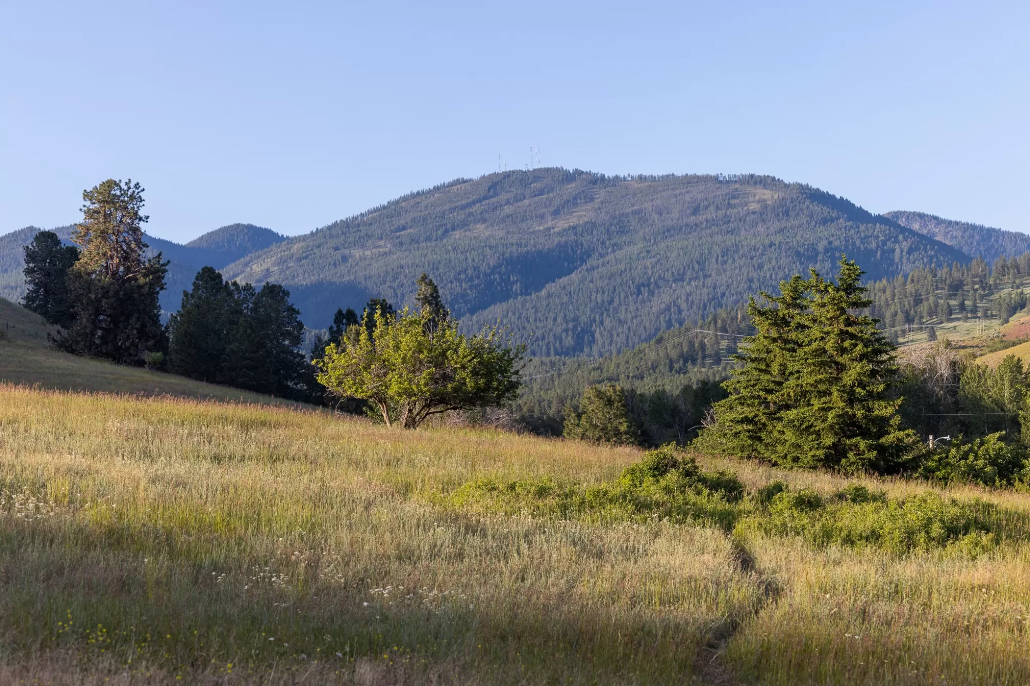 8925 Lavalle Creek Road Missoula Singlefamilyresid