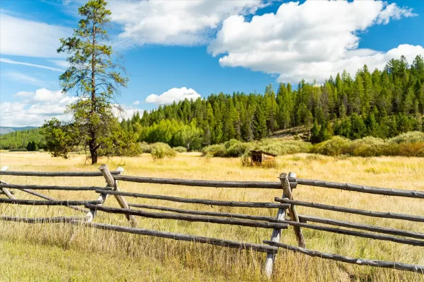 200 Hubbart Dam Road Marion Ranch Golf Horse Water