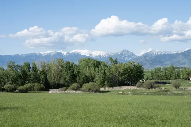 1862   1864 Durston Road Bozeman Golf Horse Waterf