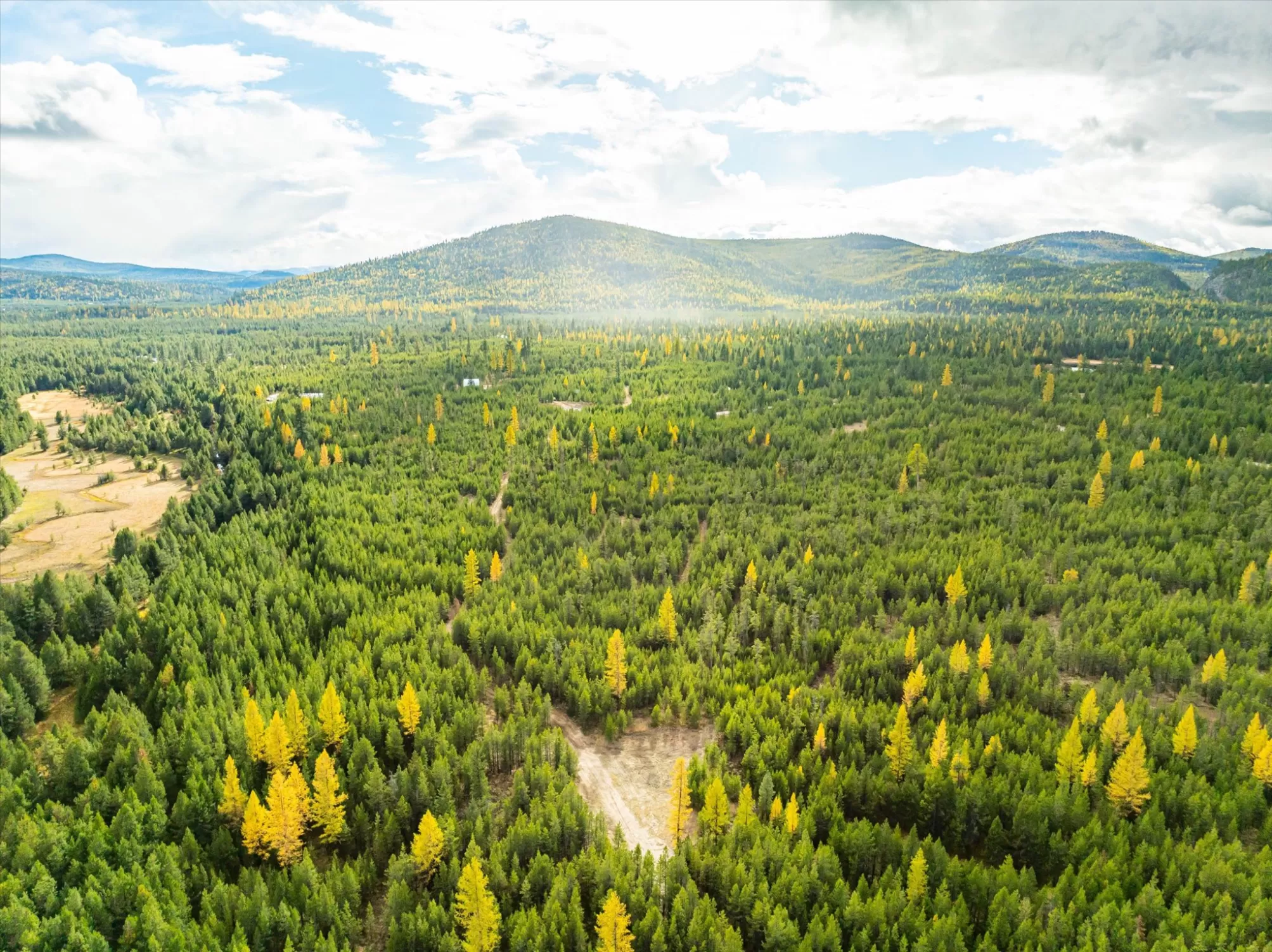 Nhn  Lot 4  Lower Lost Prairie Road Marion Waterfr