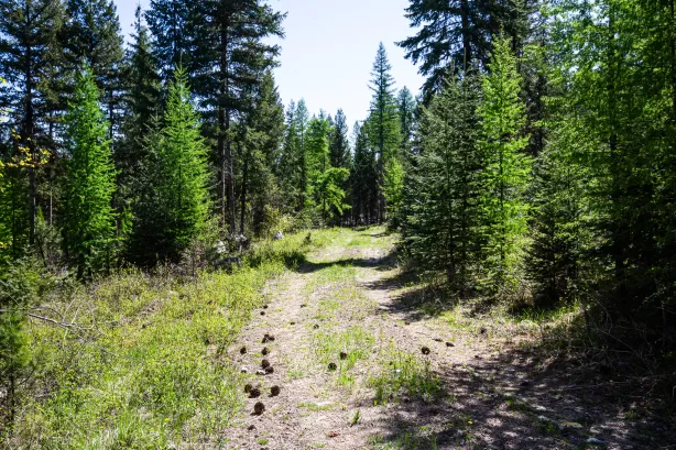 Nhn Open Sky Way Kila Waterfront 20 Acres