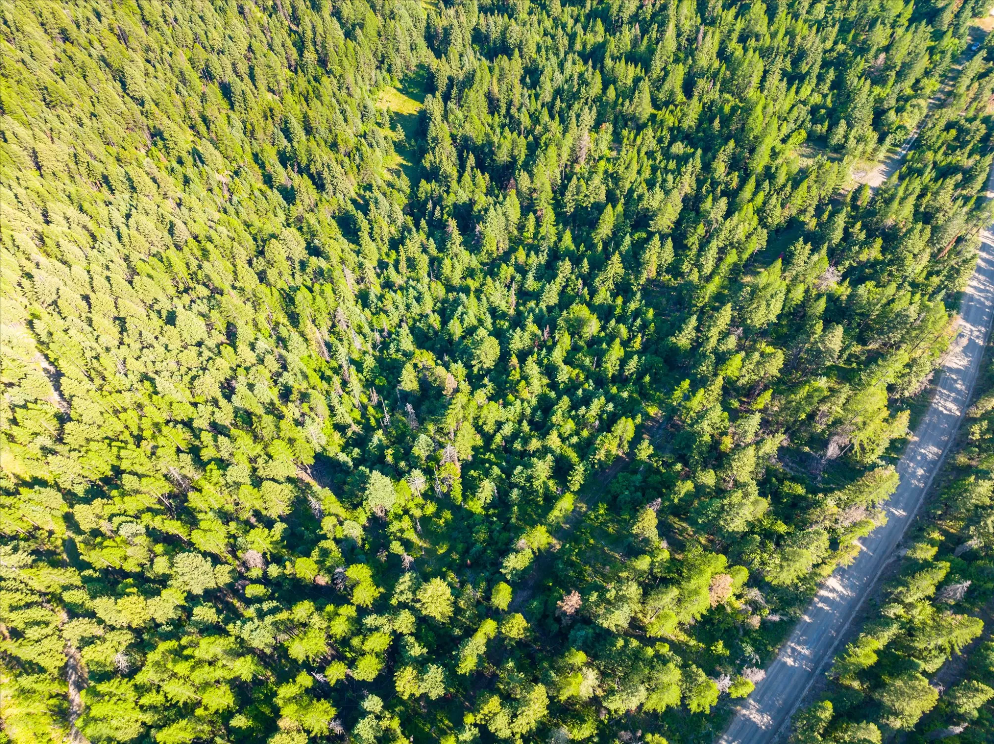 2255 Ashley Lake Road Kalispell Unimprovedland Wat