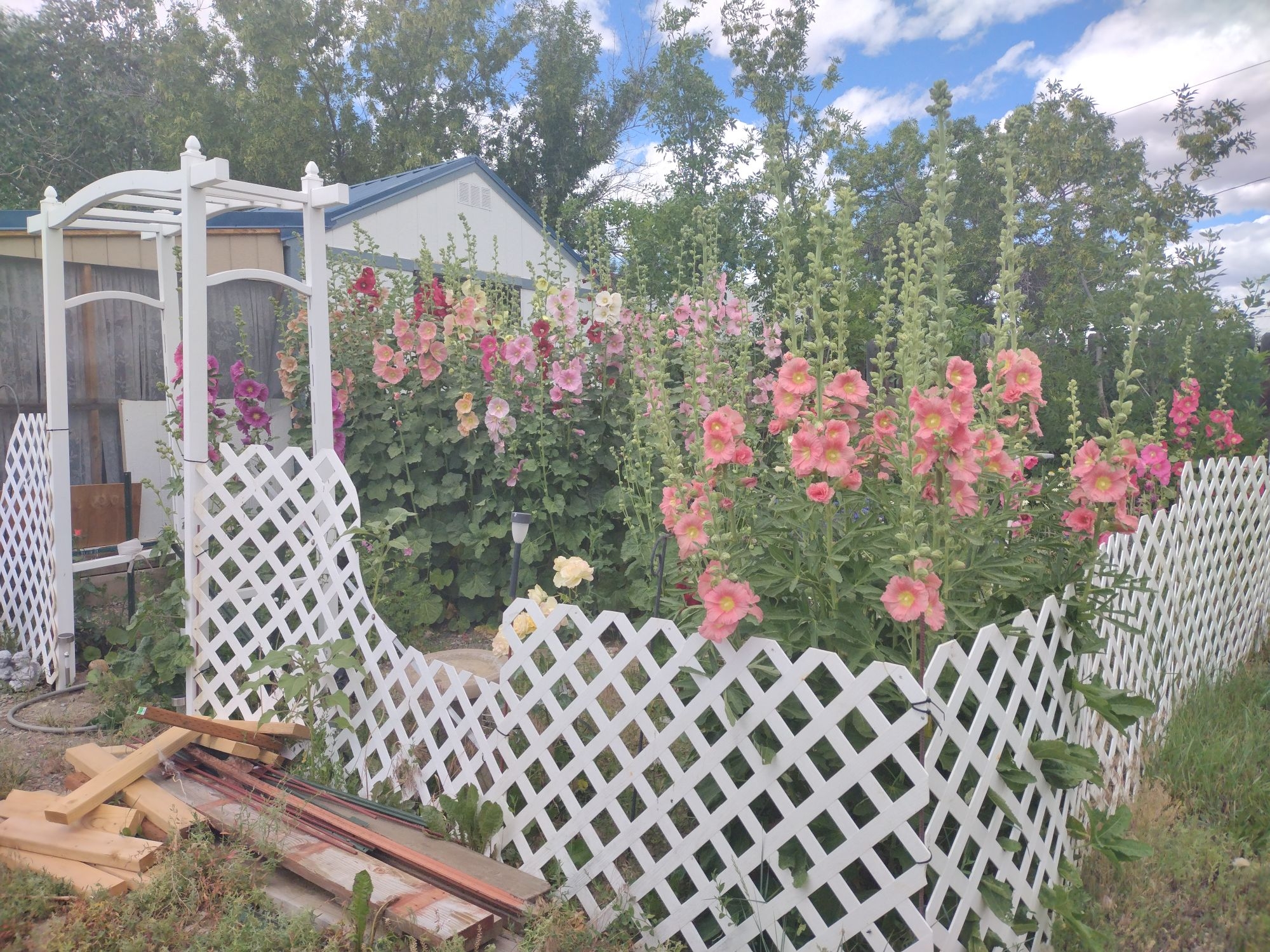 11 Central Avenue N Dutton Singlefamilyresidence 1