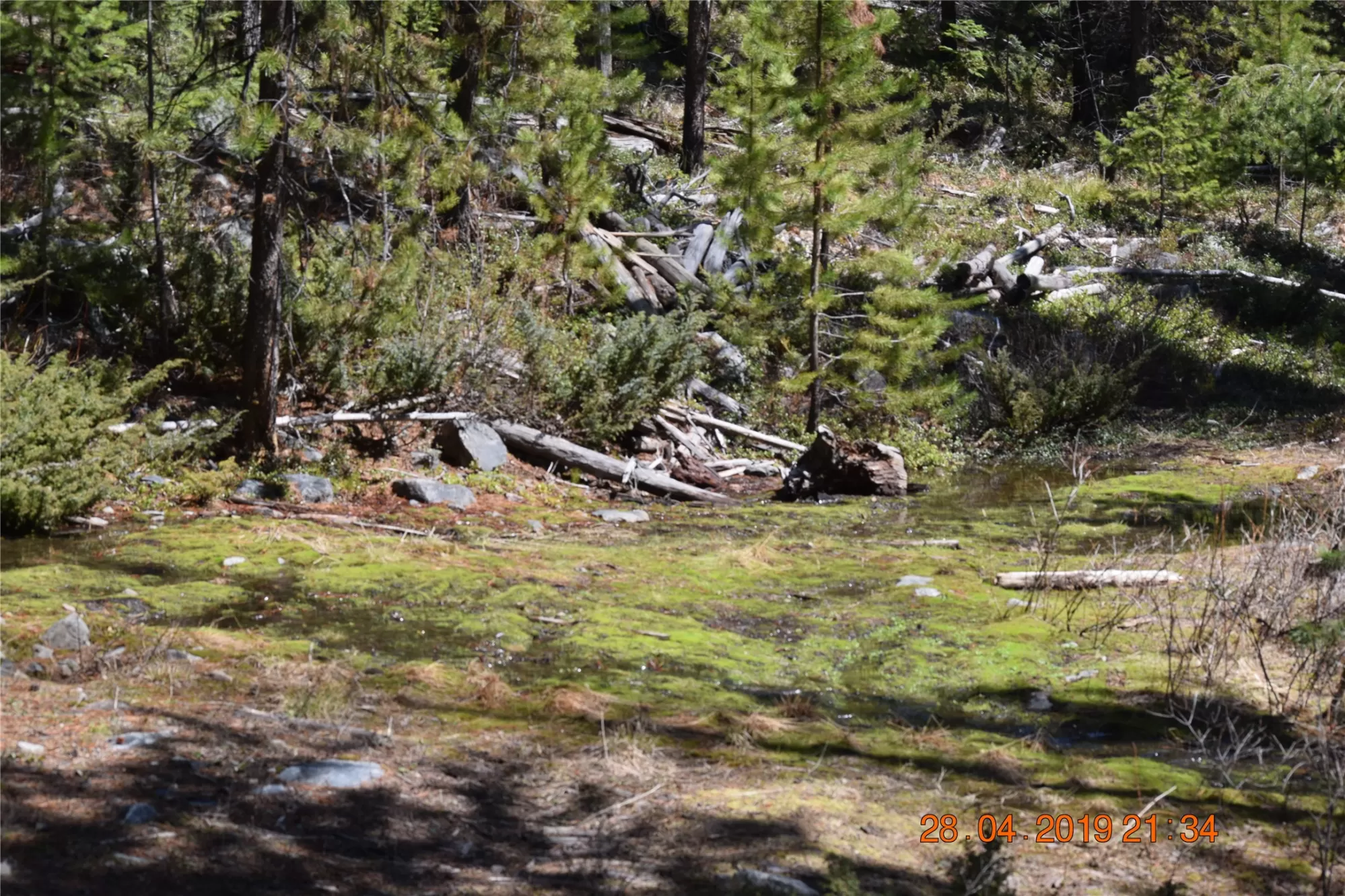 Nhn Highway 2 Marion Unimprovedland Waterfront 120