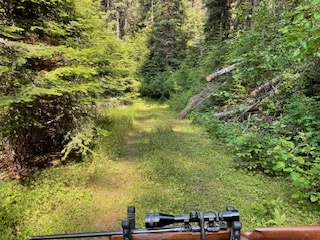 Nhn Clark Hinchwood Road Plains Unimprovedland Hor