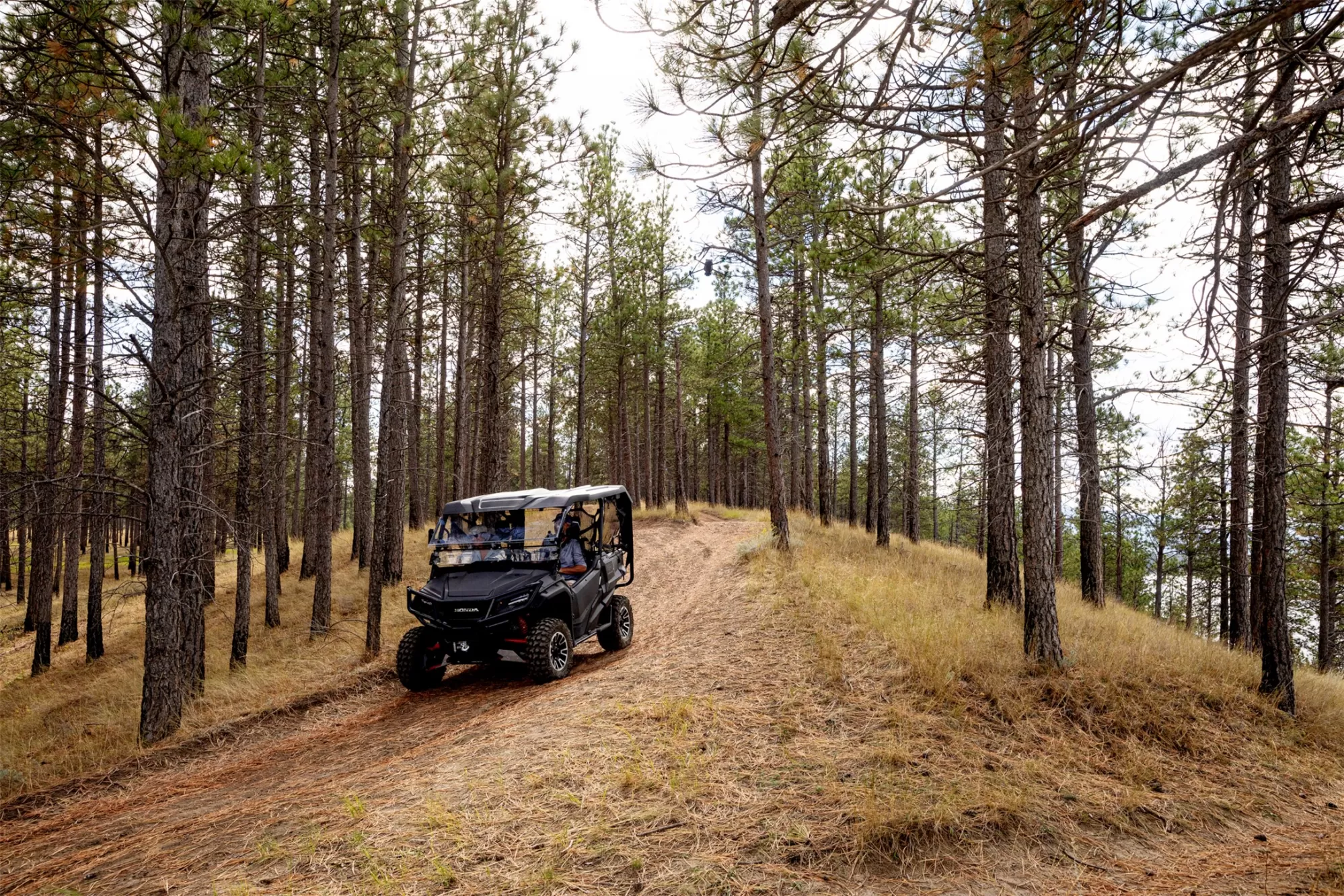 14 Crooked Stick Way Eureka Singlefamilyresidence