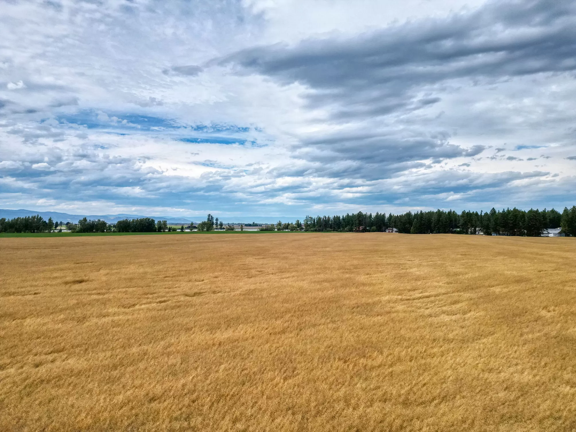 1770  1780  1790  1800 Riverside Road Bigfork Unim