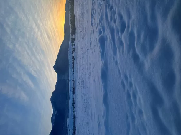 815 Velvet Grove Eureka Singlefamilyresidence 3 Be