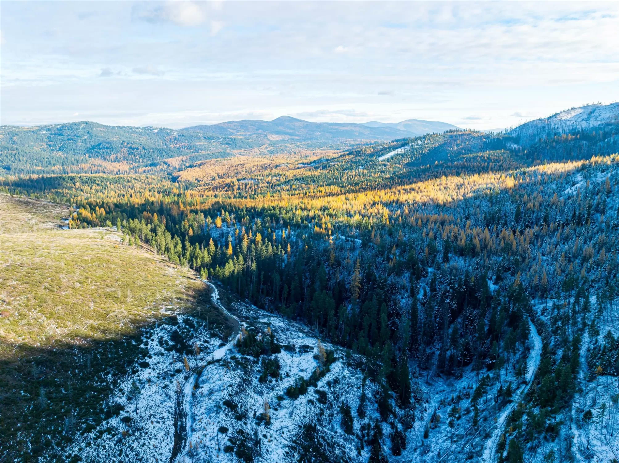 Nhn Mcginnis Meadows   Bayhorse Road Section 5 Lib