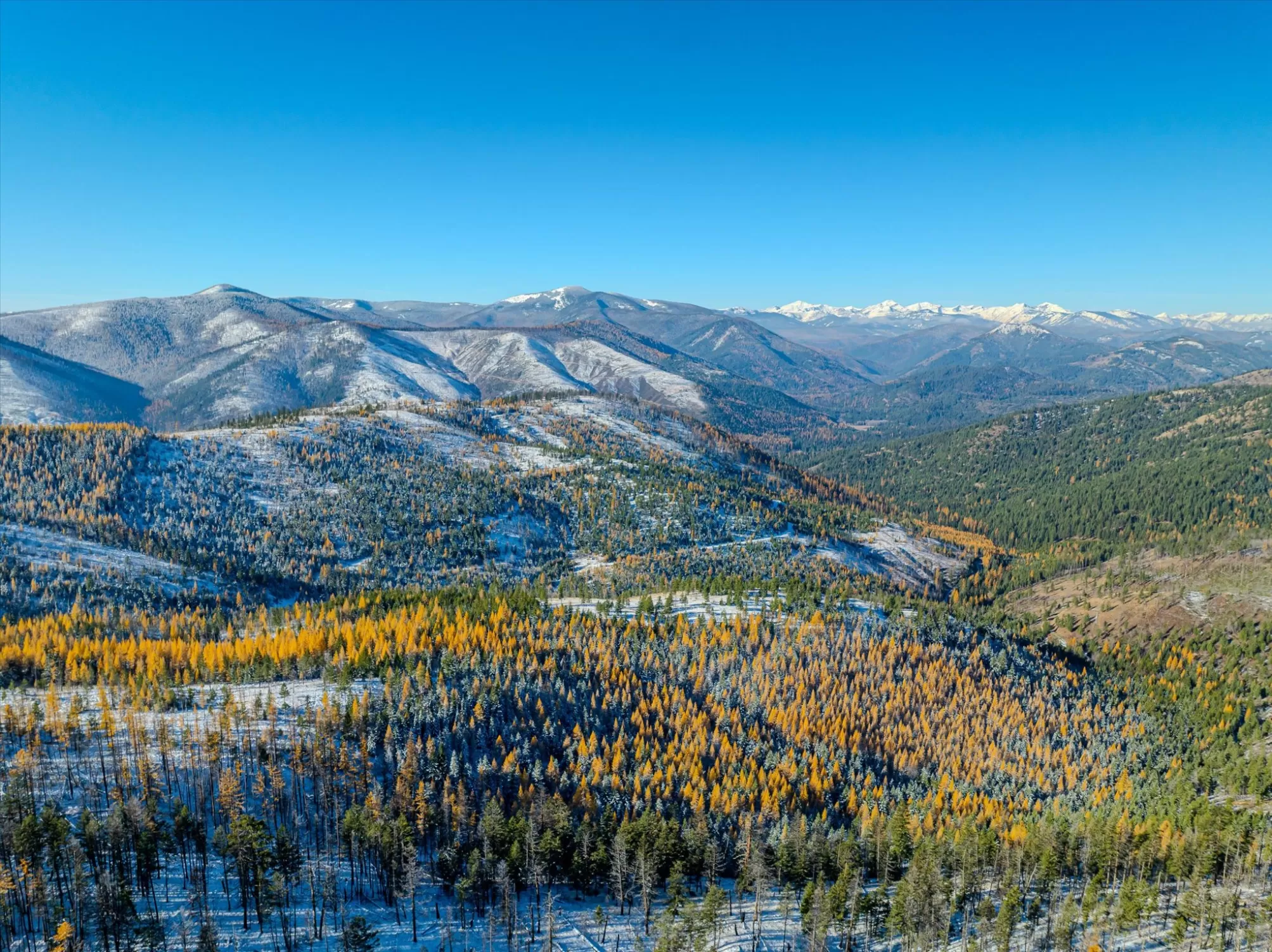 Nhn Mcginnis Meadows   Bayhorse Road Section 7 Lib