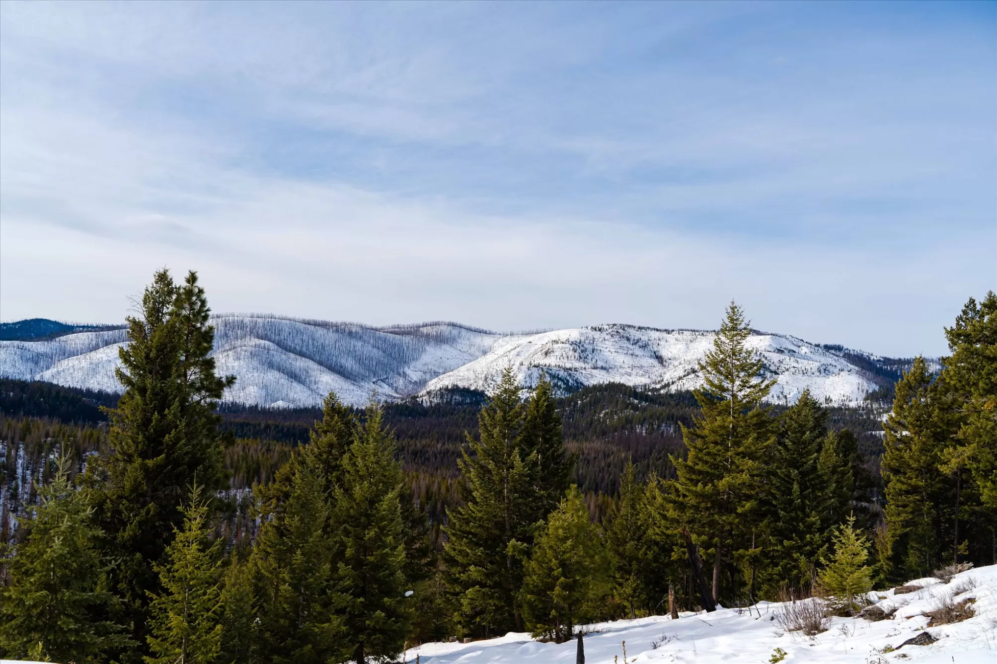 Nhn Whitney Lake Road Libby Agriculture Waterfront