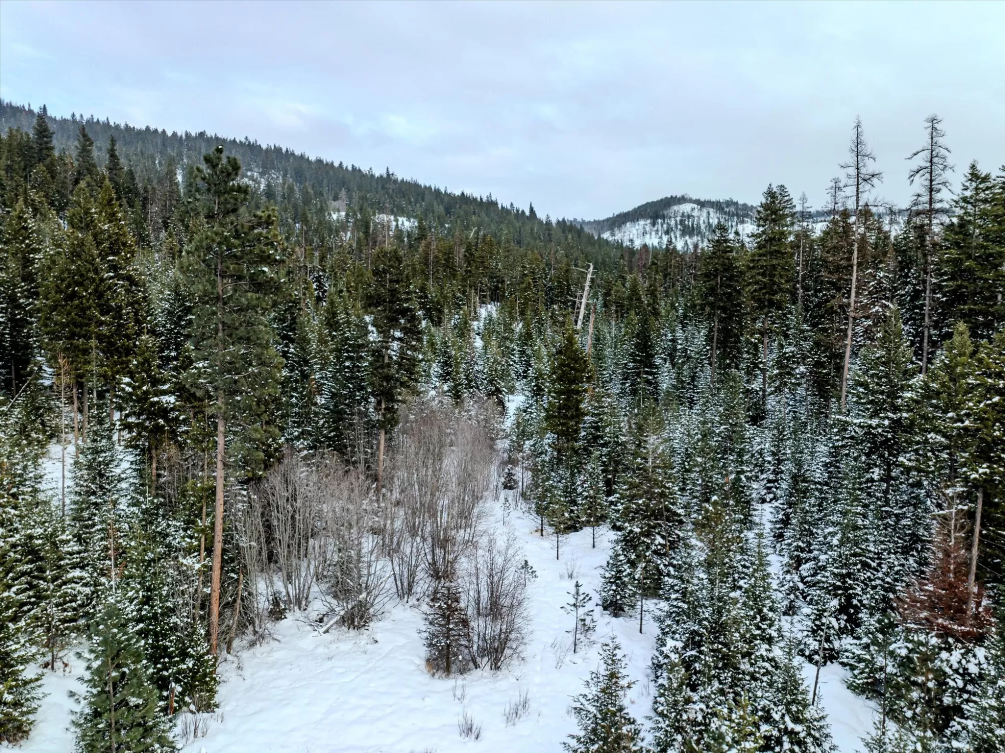 Nhn Mcginnis Meadows   Bayhorse Road Section 1 Lib