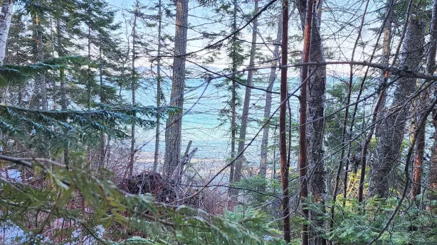 24699 MT Highway 35 Bigfork Waterfront 7 Acres