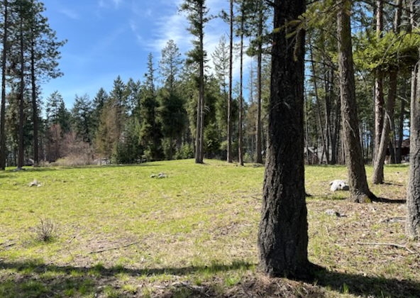 13962 Pine Street Bigfork Waterfront