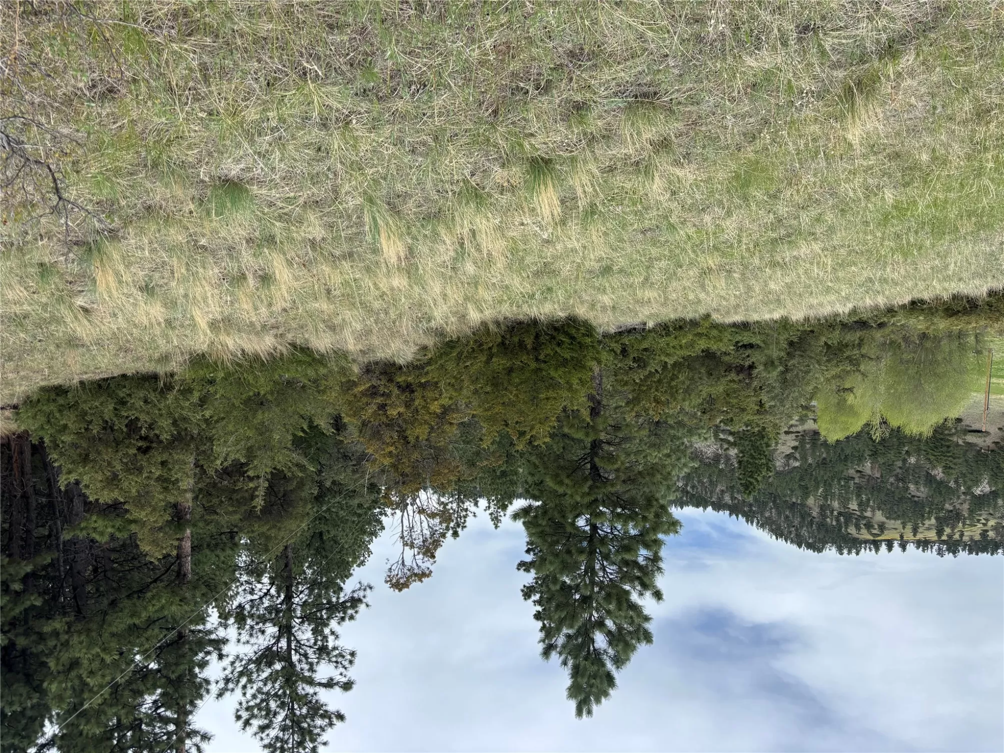 Tbd Beartooth Road Wolf Creek Unimprovedland Water