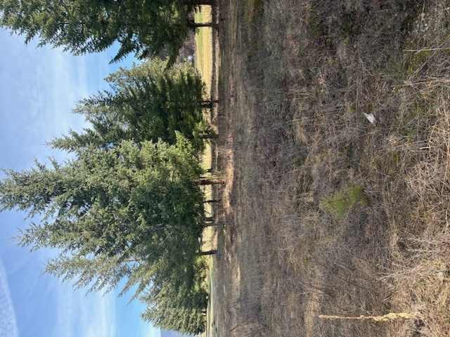 1 Fairview Drive St Regis Golf Waterfront