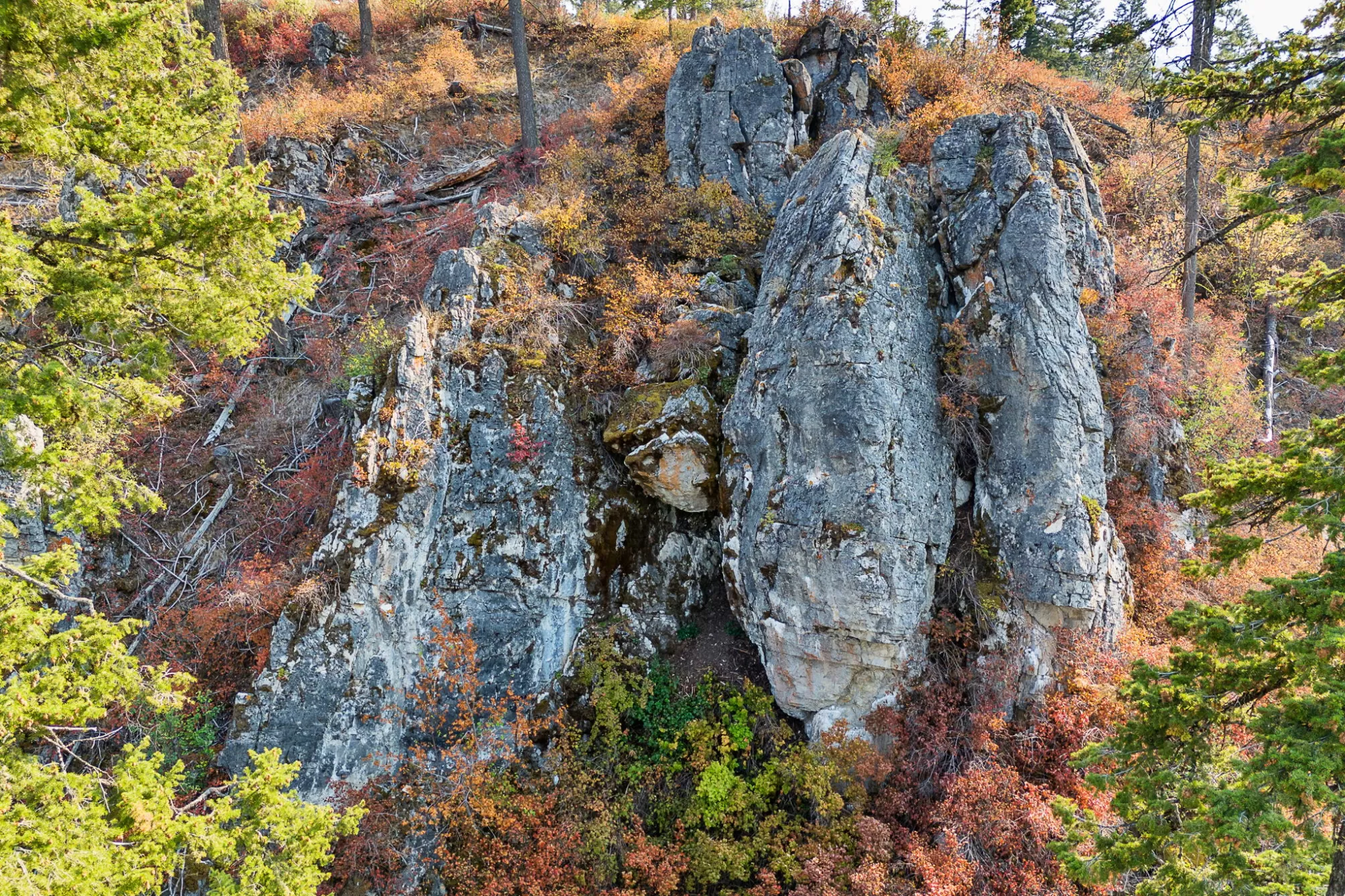 6300 Camas Creek Road Potomac Waterfront 100 Acres