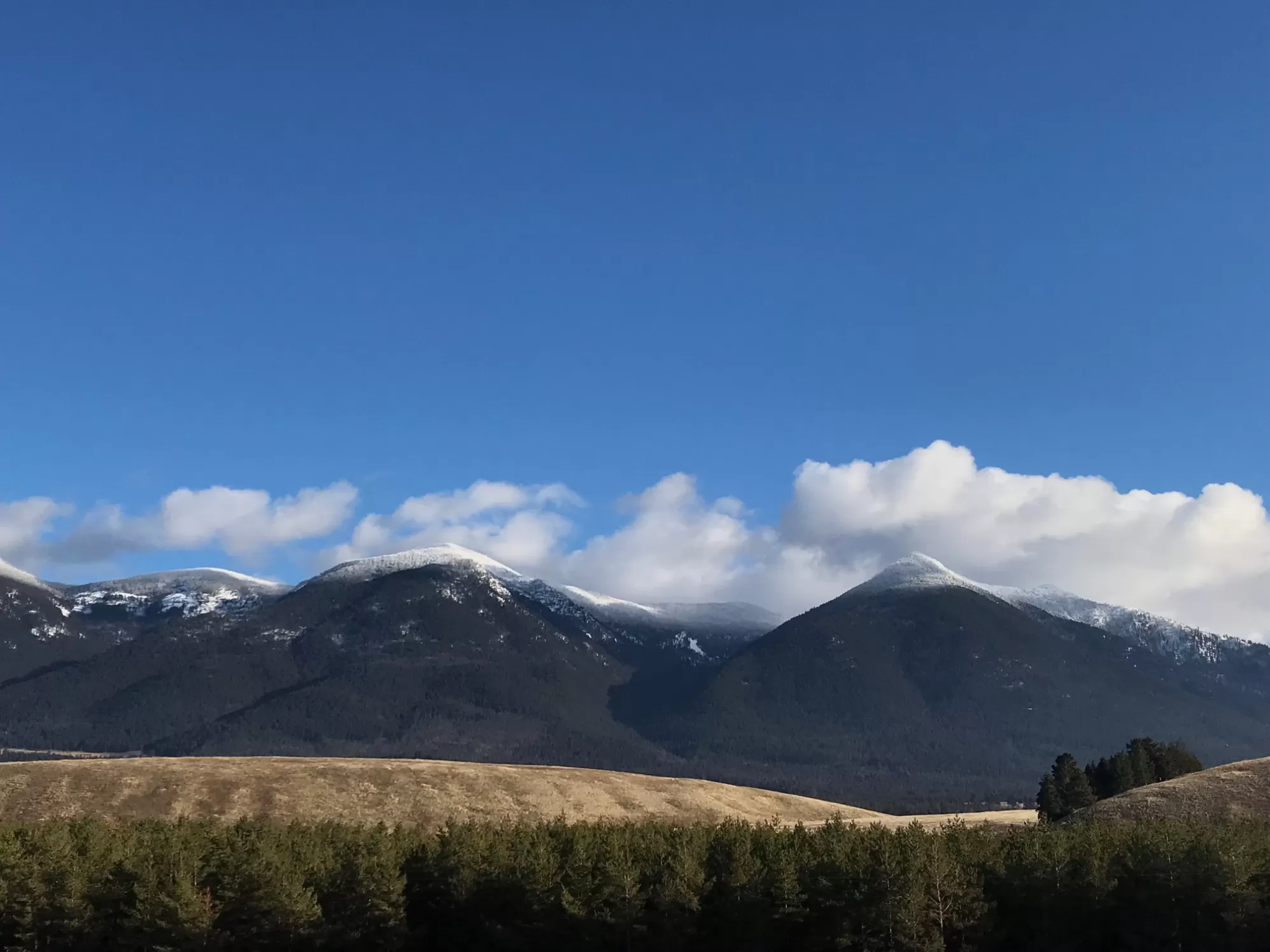 Nhn Us Highway 93 N Eureka Unimprovedland Golf Wat