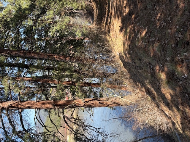 Lot 3a River Run Loop St Regis Golf Ski Waterfront