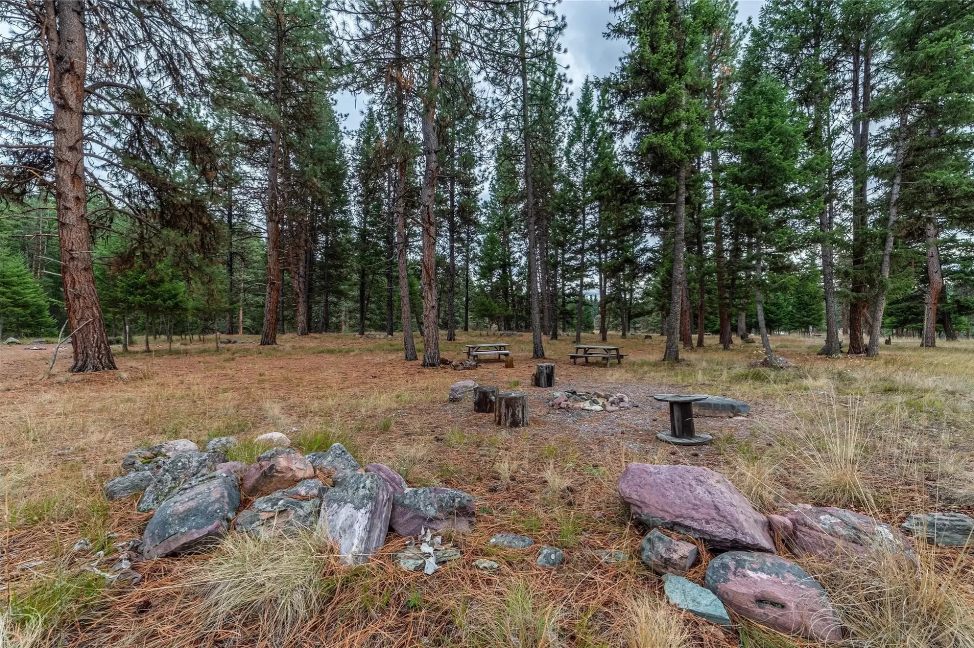 42722   43644 Elbow Lake Road Seeley Lake Waterfro