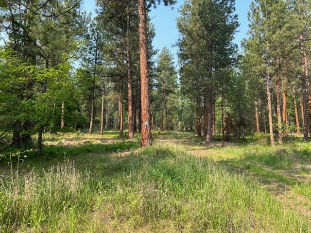 440 Sharrott Hill Loop Stevensville Horse Waterfro